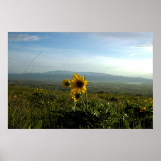 Flower and Wellsville mountain Range Poster