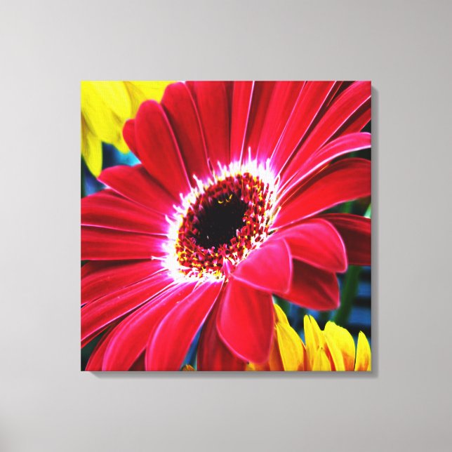 Flower Art 1 Wrapped Canvas (Front)