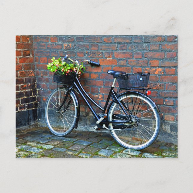 Flower Basket Bicycle, Copenhagen, Denmark Postcard (Front)