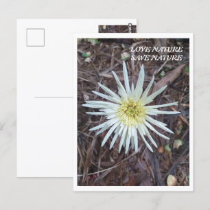FLOWER BEAUTY FOR NATURE LOVER GIFT POSTCARD