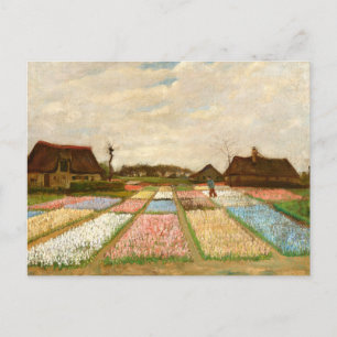 Flower Beds in Holland  by Vincent Van Gogh Postcard