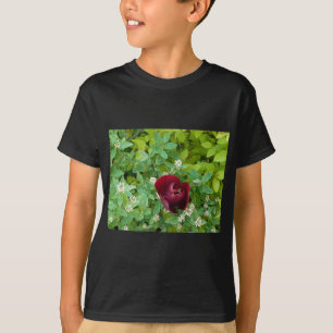 flower beds in spring T-Shirt