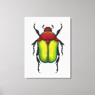 Flower beetle canvas print