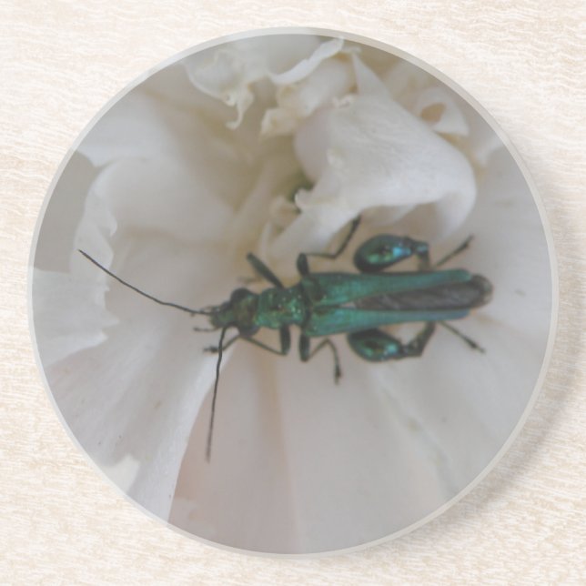 Flower Beetle Coasters (Front)
