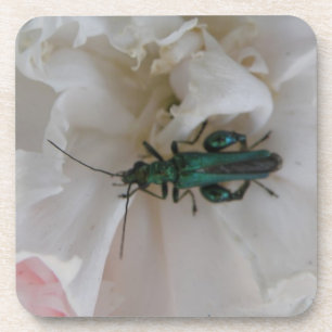 Flower Beetle Cork Coaster