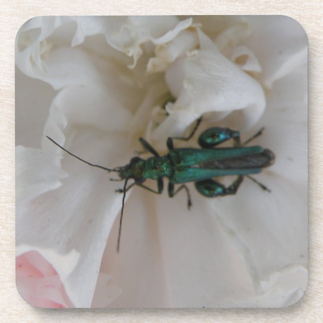 Flower Beetle Cork Coaster (Front)