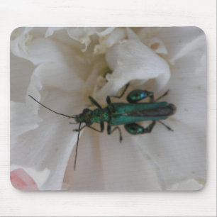 Flower Beetle Mousepad