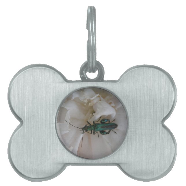 Flower Beetle Pet Tag (Front)