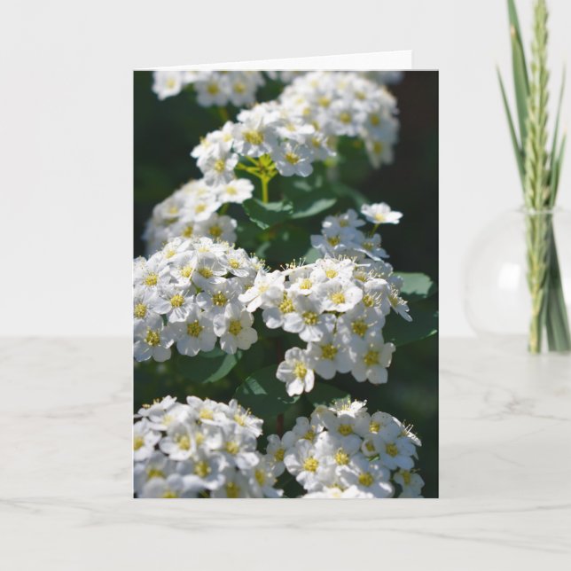 Flower Blank Greeting Card (Front)