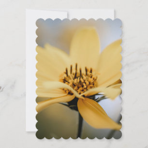 FLOWER BLOOM  HOLIDAY CARD