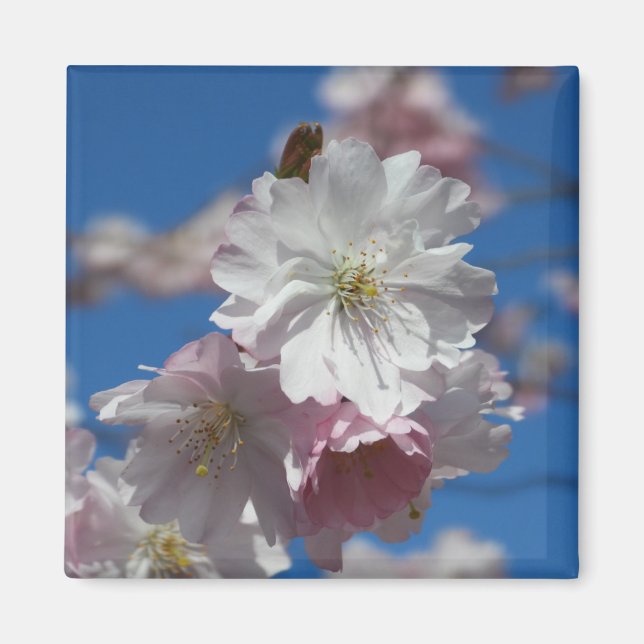 Flower blossom magnet (Front)