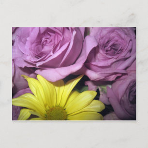Flower Blossoms Daisy Roses Love Destiny Postcard