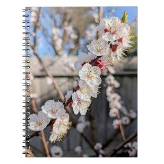 Flower blossoms notebook