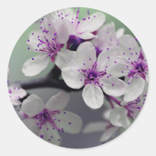 flower blossoms stickers