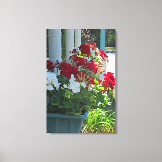 Flower Box Geraniums - Martha's Vineyard Canvas Print (Front)