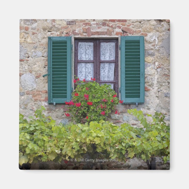 Flower box on window magnet (Front)