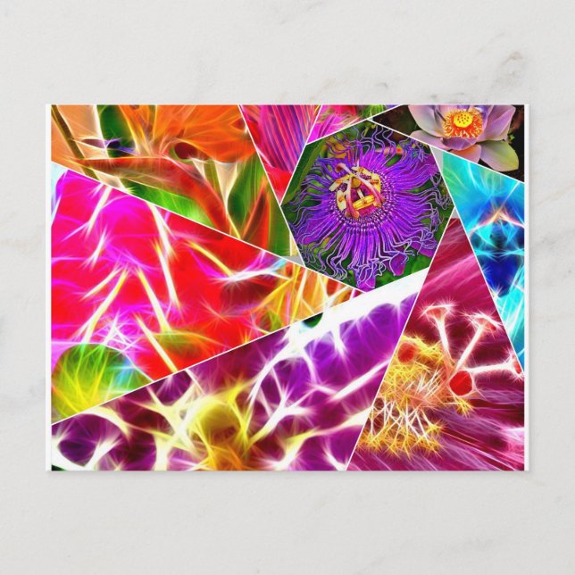 Flower Burst Postcard (Front)