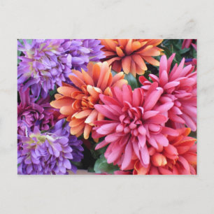 Flower Bursts Postcard