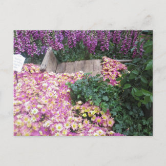 FLOWER Butterfly Garden Vegas Elegant Colourful gi Postcard
