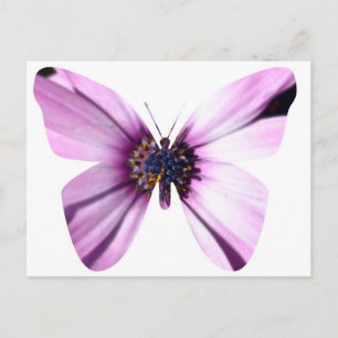 Flower Butterfly Postcard