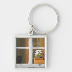 Flower by the window, Sighisoara, Romania Key Ring