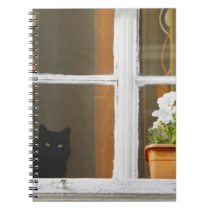Flower by the window, Sighisoara, Romania Spiral Notebook