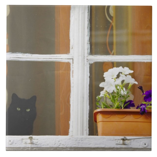 Flower by the window, Sighisoara, Romania Tile (Front)