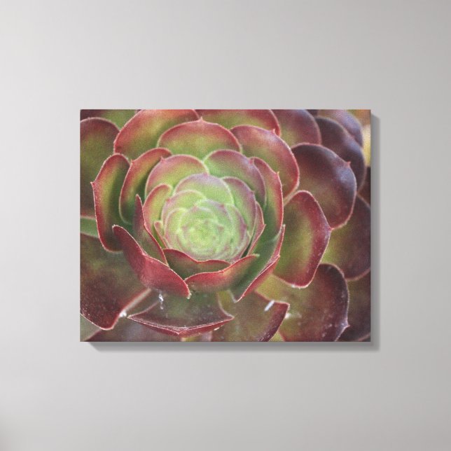 Flower Canvas Print (Front)