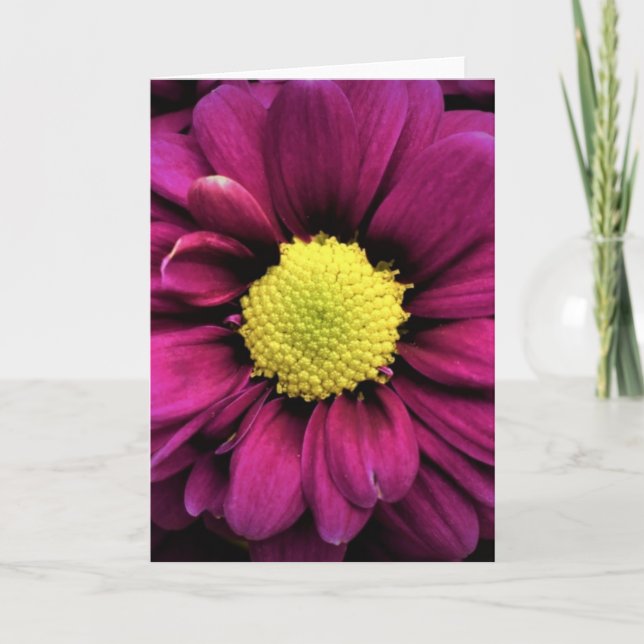 Flower, card (Front)