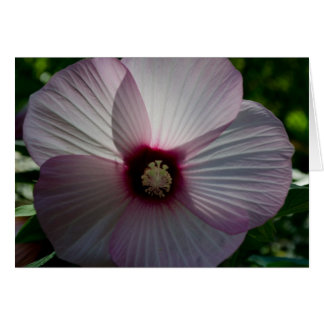 Flower Card