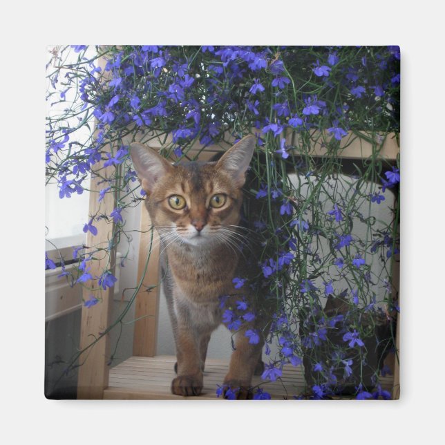 Flower Cat Magnet (Front)