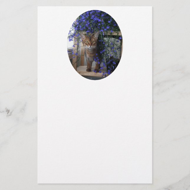 Flower Cat Oval (Front)