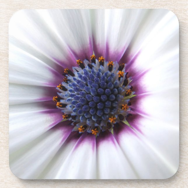 Flower Centre Coaster (Front)