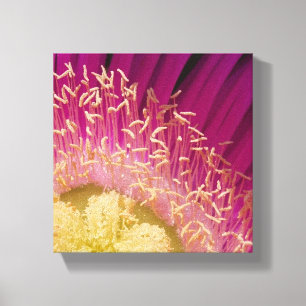 Flower Centre Wrapped Canvas