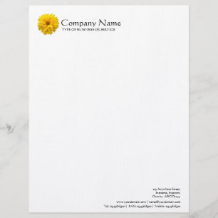 Flower - Chrysanthemum Personalized Letterhead