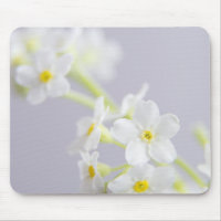 flower close up