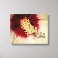 Flower Close Up Photo Single Art Poster