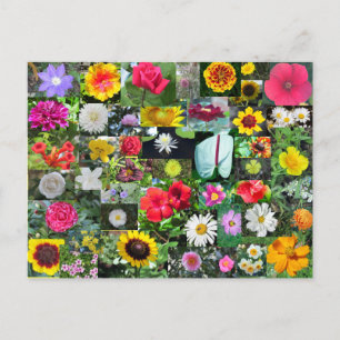 Flower Collage Postcard