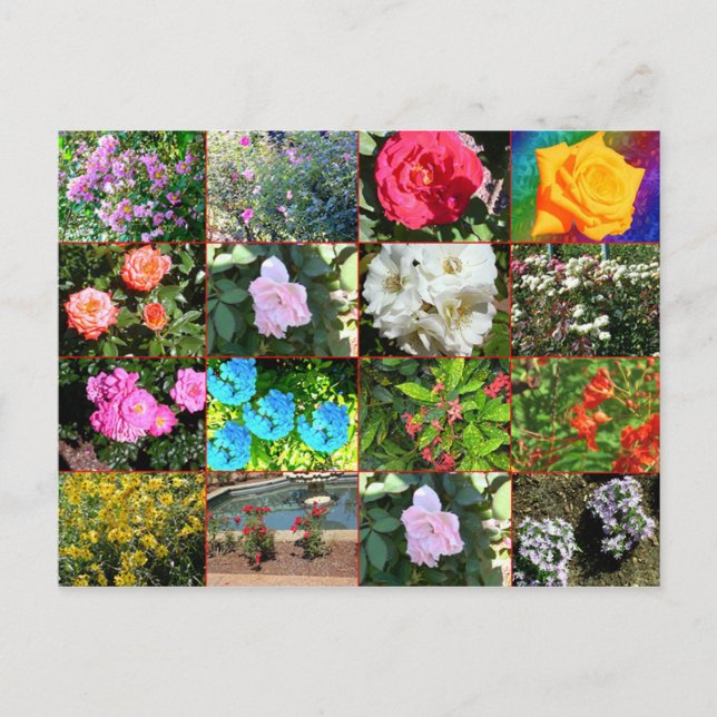 Flower Collage Postcard (Front)