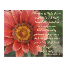 Flower Colossians 3