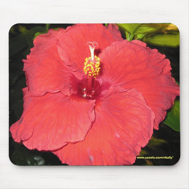 Flower cool mousepad design (Front)
