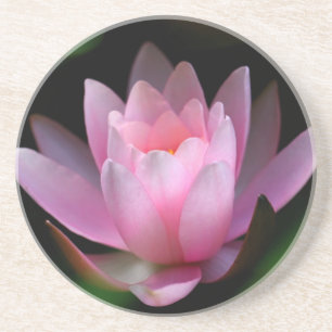 flower coster coaster