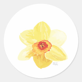 flower Daffodil Żonkila Classic Round Sticker