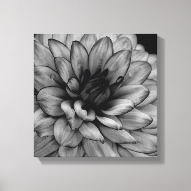 Flower Dahlia Canvas Print (Front)