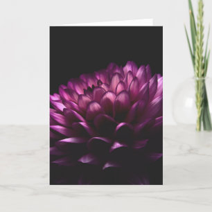 Flower Dahlia Card