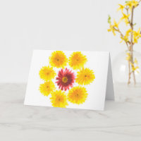 Flower Dance Chrysanthemum Get Well