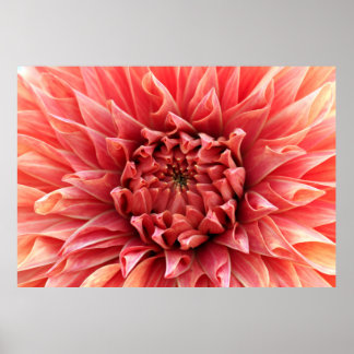Flower Decor 88 Print