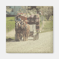 Flower Delivery