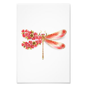Flower dragonfly with jewellery sakura photo print