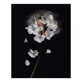 Flower Fairies 1 Poster